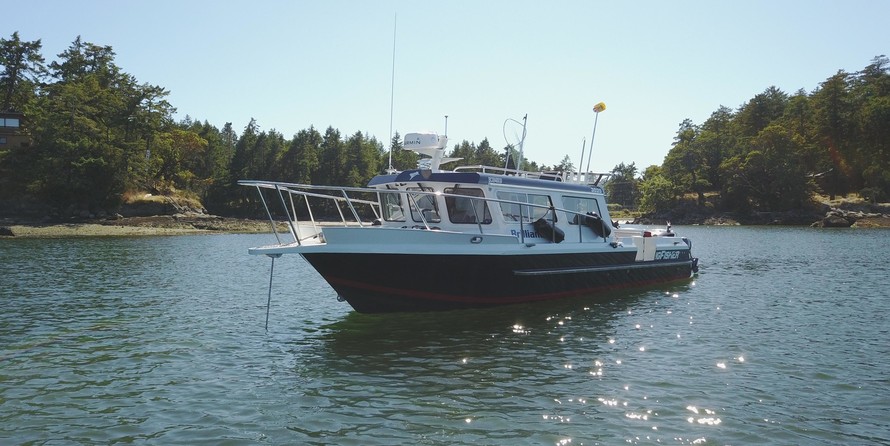 KingFisher 3025 Offshore