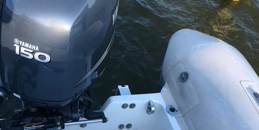 Nautica rib 11 deluxe