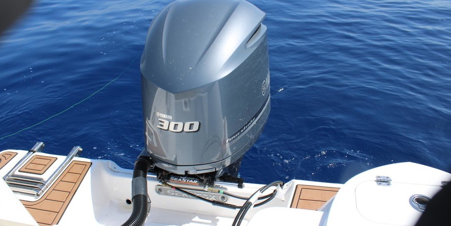 248 Sea Fox Commander