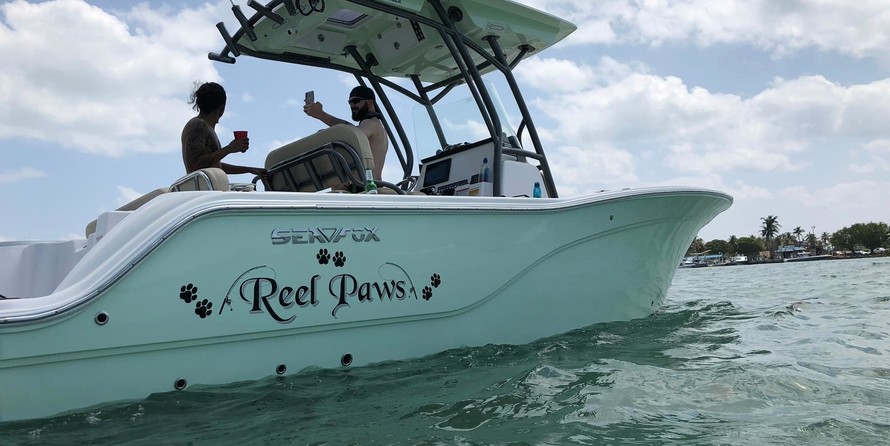 248 Sea Fox Commander