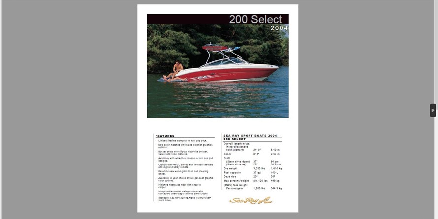 Sea ray 200 select