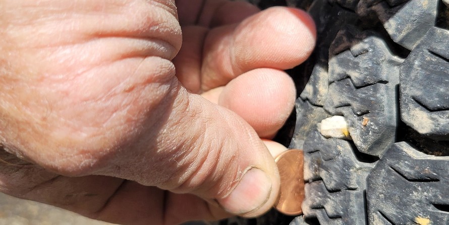 Champion 21 bay champ