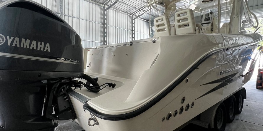 Hydra-sports 2800 vector wa