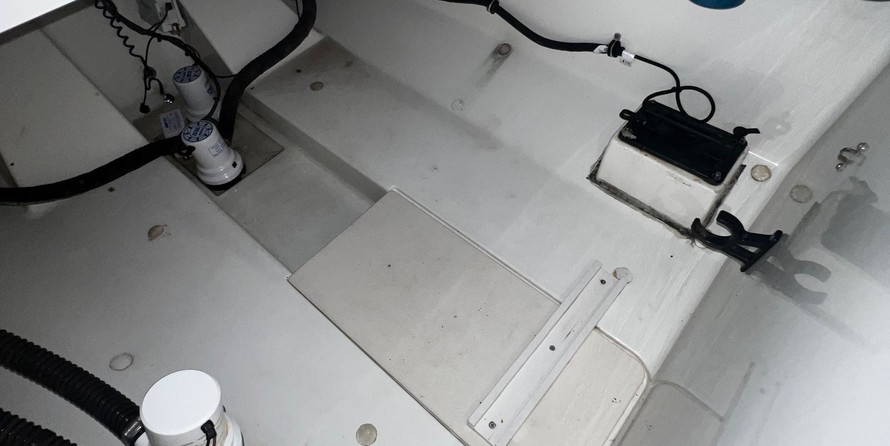 Hydra-sports 2800 vector wa