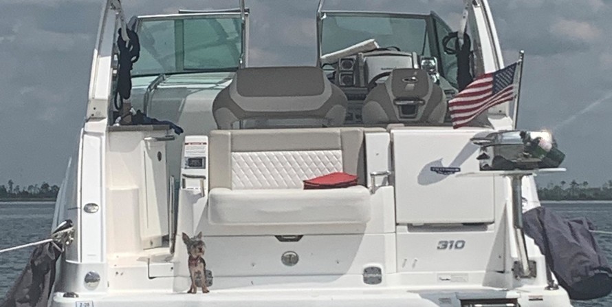 Chaparral 310 Signature