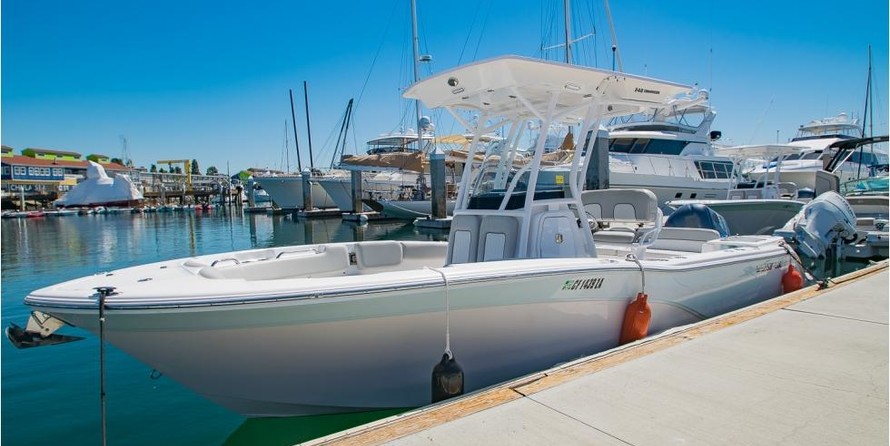 228 Sea Fox Commander