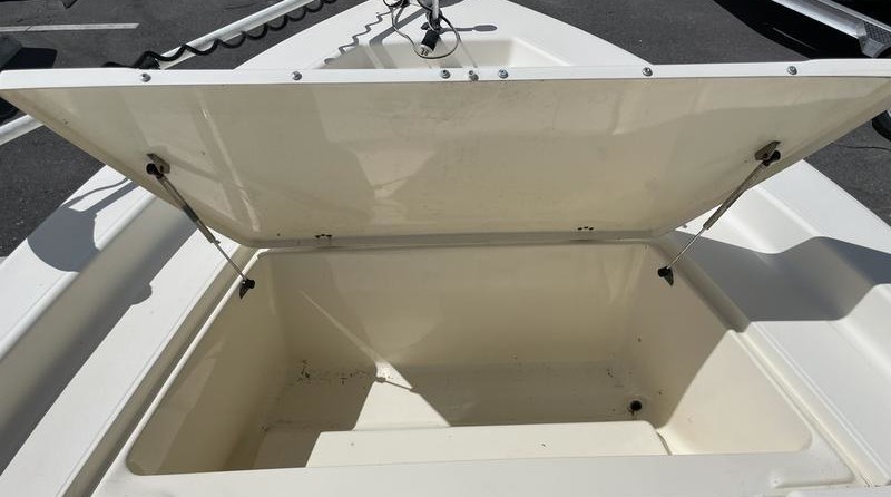 Scout Boats 251 XS