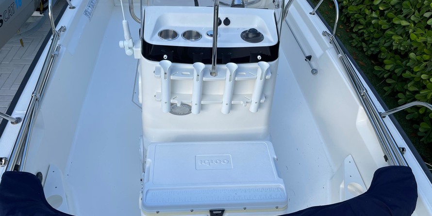 Boston Whaler 170 Montauk