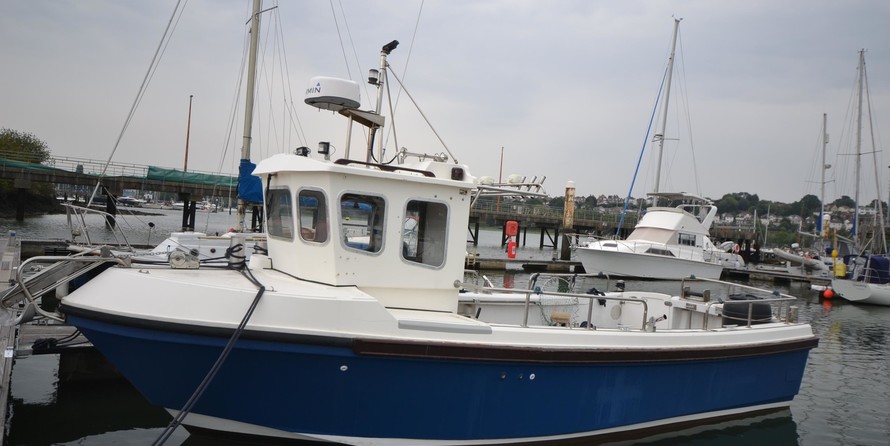 Cygnus cyclone 30 patrol