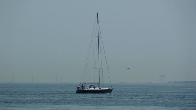 Comar Comet 50 C