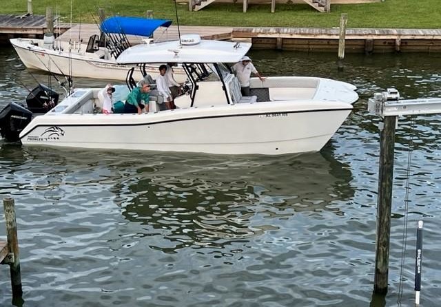 Renaissance 31