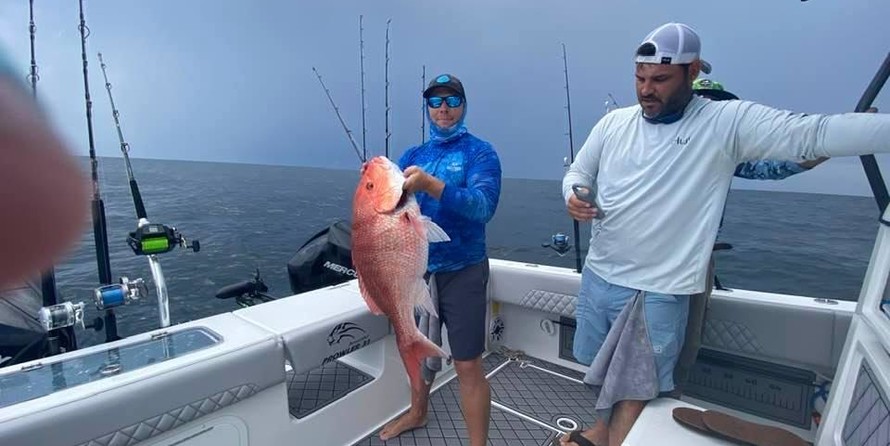 Renaissance 31