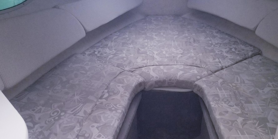 Sea ray 225 weekender