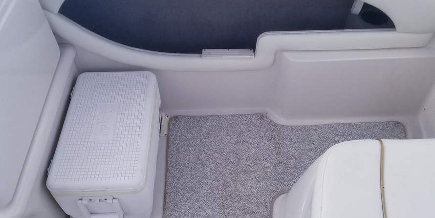 Sea ray 225 weekender