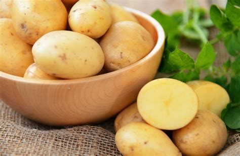 Beneteau Antares 7 OB