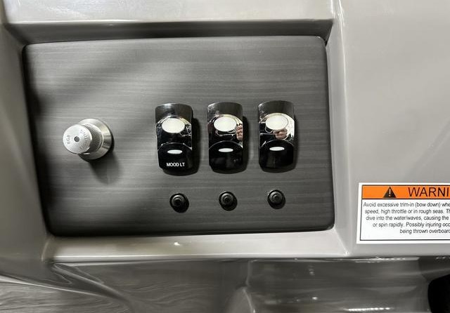 Bennington 22 LSB