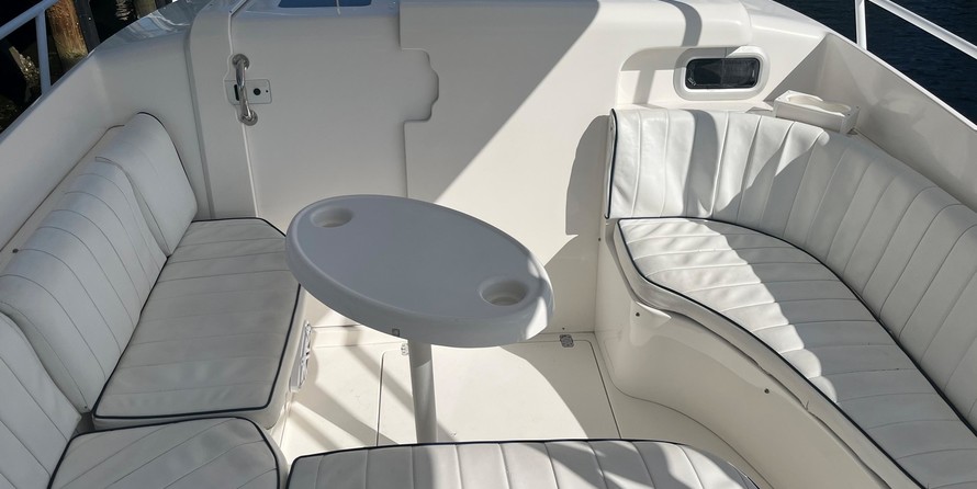 Intrepid 310 walkaround