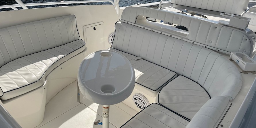 Intrepid 310 walkaround