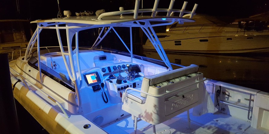 Intrepid 310 walkaround