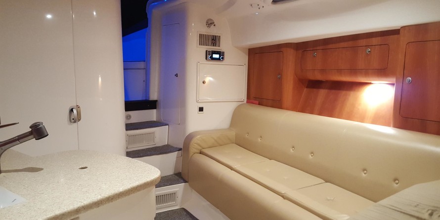 Intrepid 310 walkaround