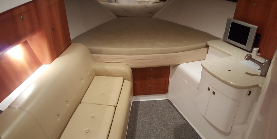 Intrepid 310 walkaround