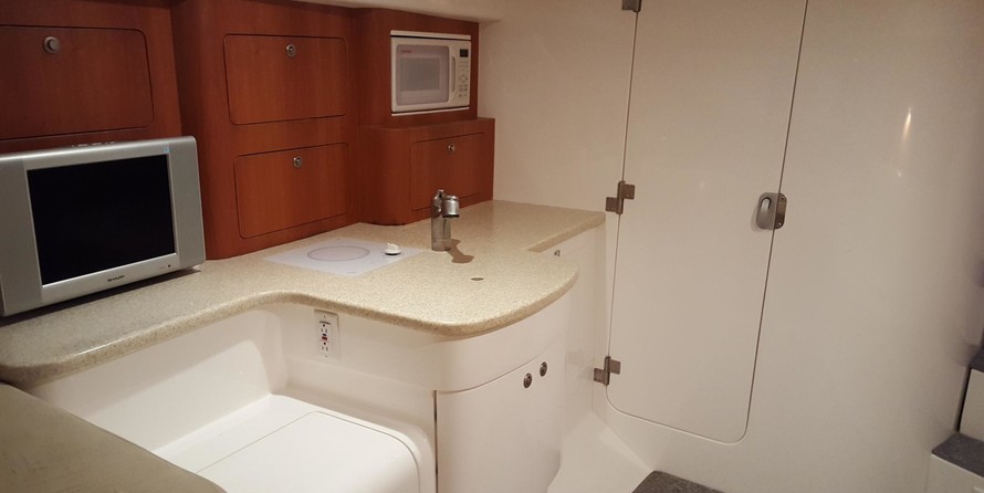 Intrepid 310 walkaround