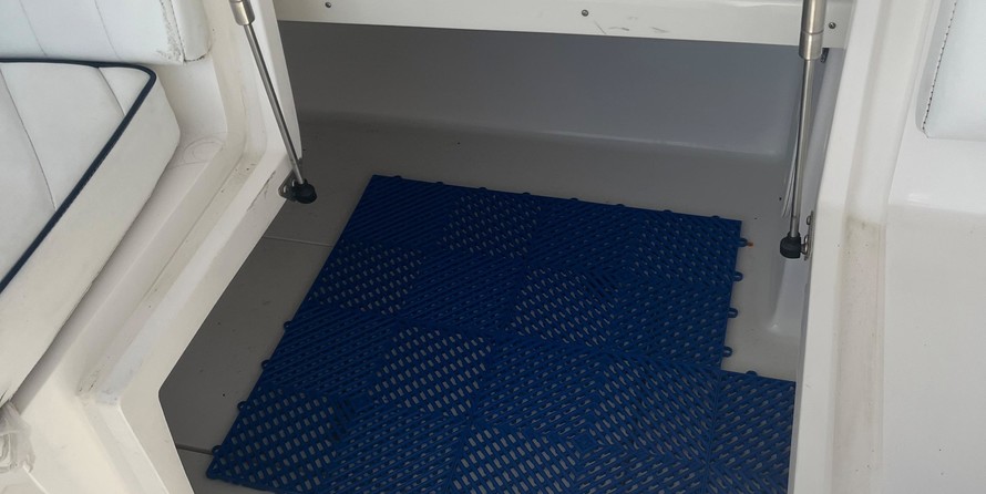 Intrepid 310 walkaround