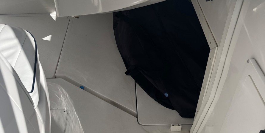 Intrepid 310 walkaround