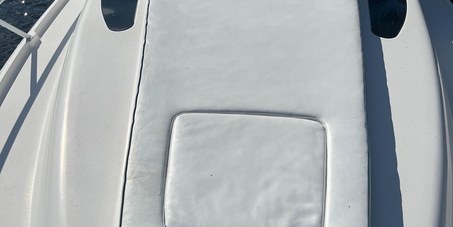 Intrepid 310 walkaround