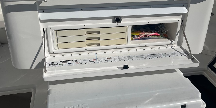 Intrepid 310 walkaround