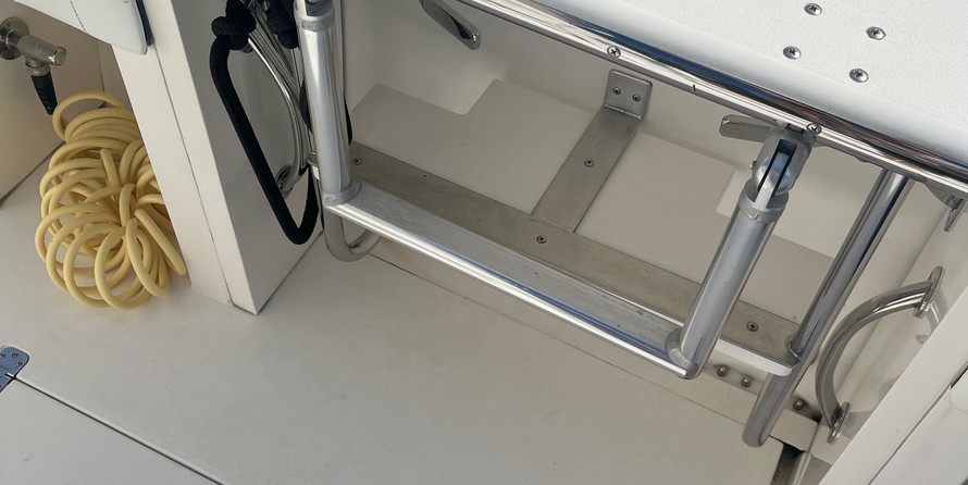 Intrepid 310 walkaround