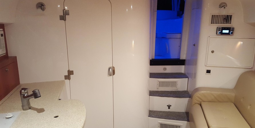 Intrepid 310 walkaround