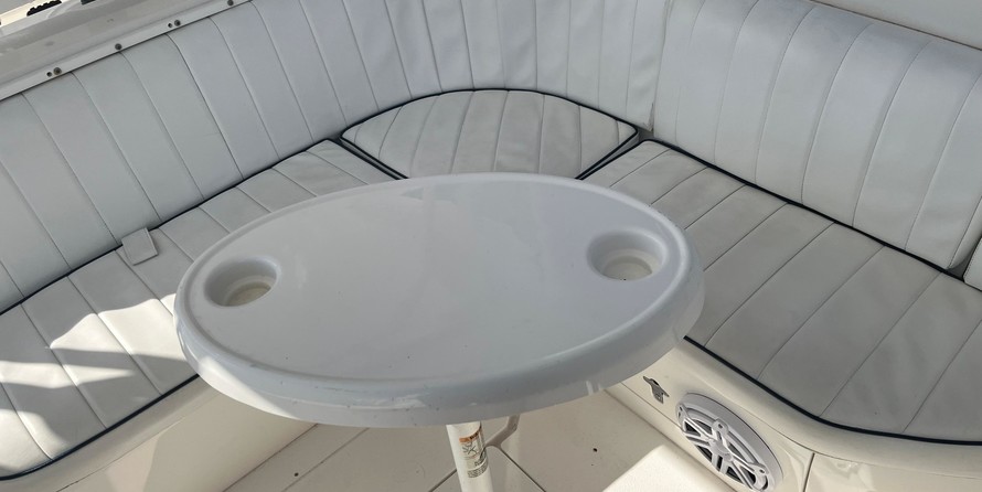 Intrepid 310 walkaround