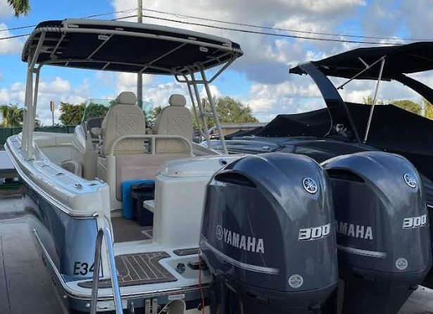 Chris-Craft Catalina 29 Sun Tender