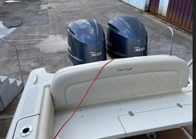 Chris-Craft Catalina 29 Sun Tender