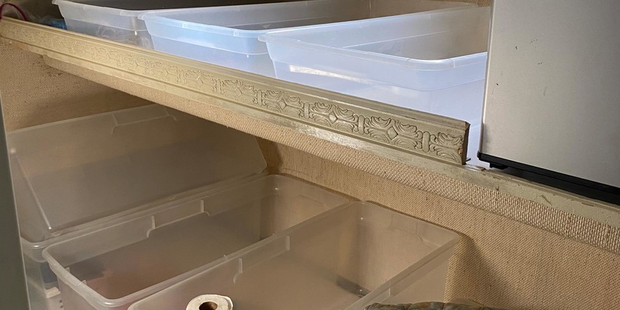 Sea ray 500 db sedan bridge