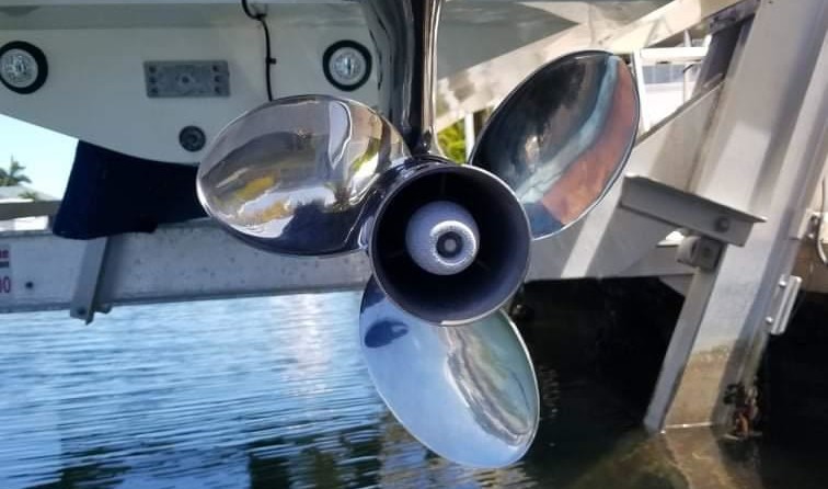 Striper 290 WA