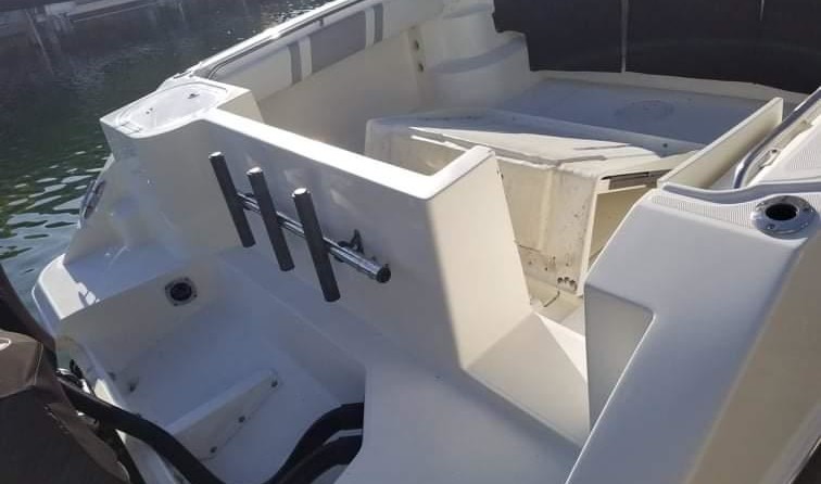 Striper 290 WA