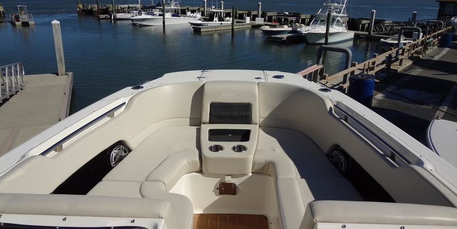 Boston Whaler 270 Vantage