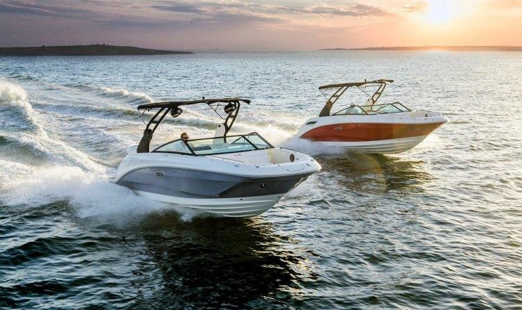 Sea Ray SDX 250