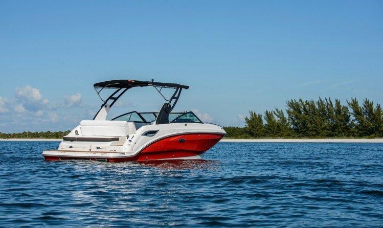 Sea Ray SDX 250