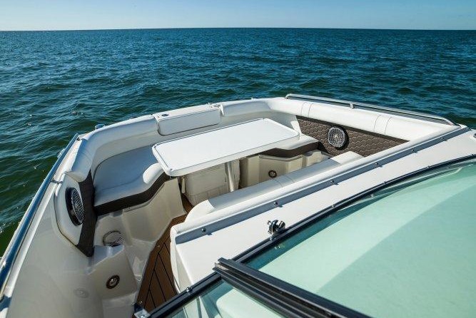 Sea Ray SDX 250