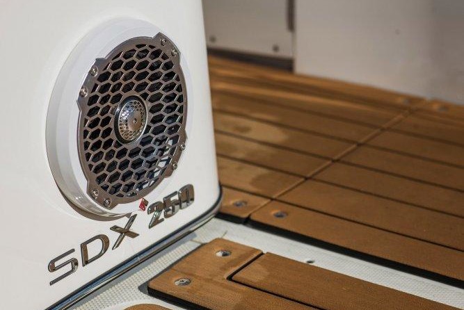 Sea Ray SDX 250