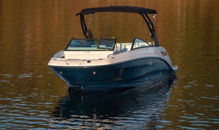 Sea Ray SDX 250