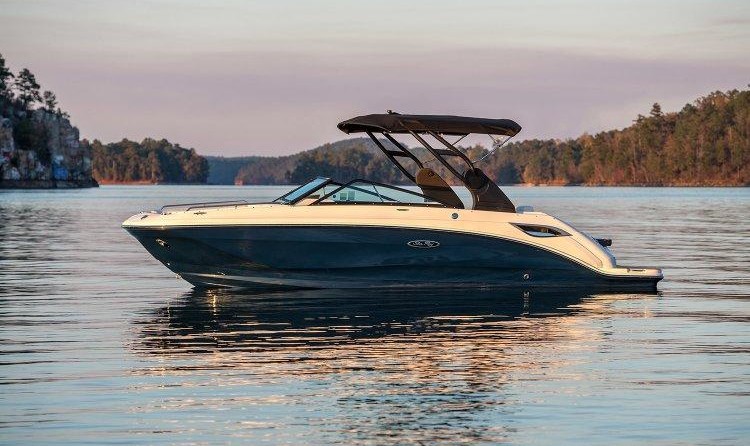 Sea Ray SDX 250