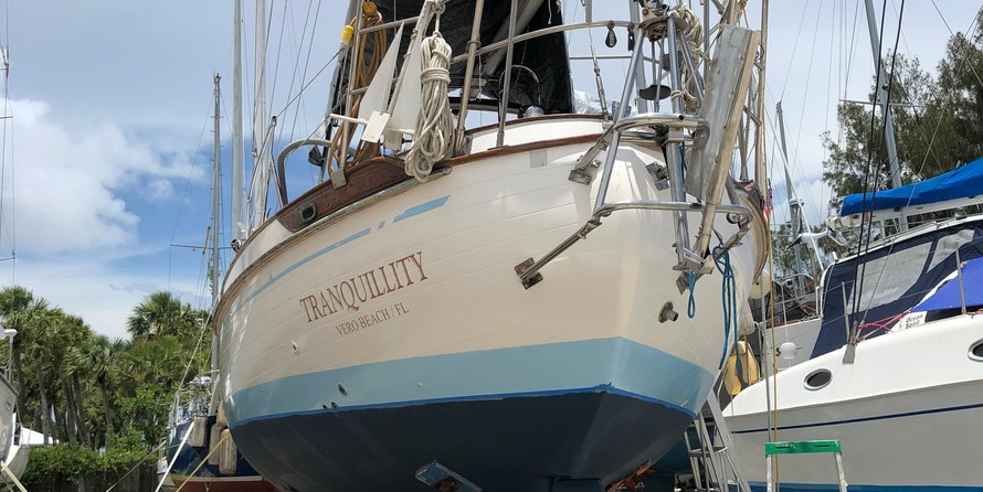 Tayana 37