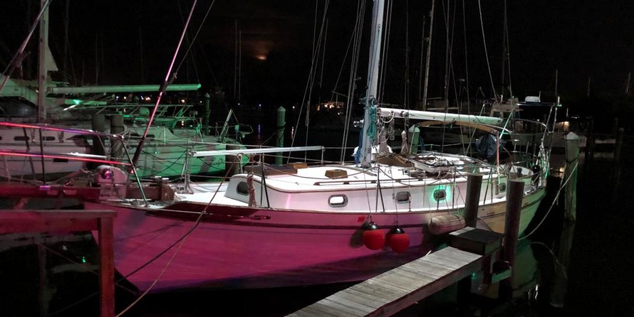 Tayana 37
