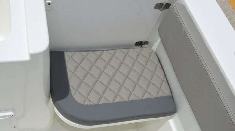 Hydra-sports 2800 cc