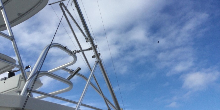 Albemarle 410 express fisherman