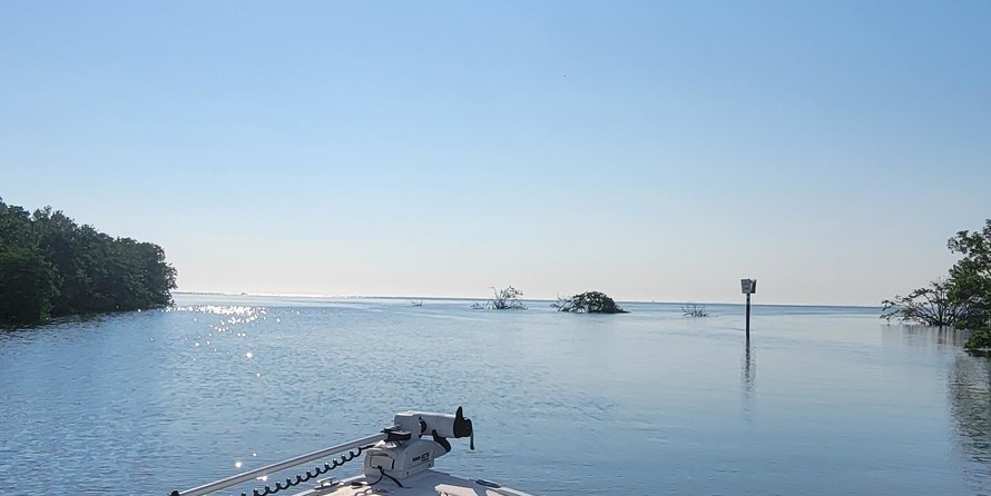 Blazer bay 22